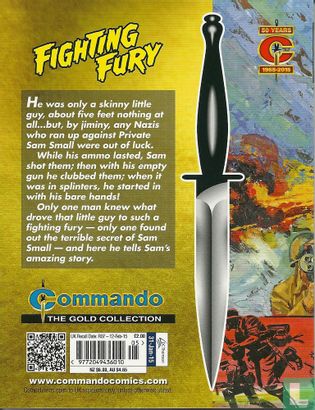 Fighting Fury - Image 2