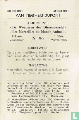 Buidelwolf - Afbeelding 2