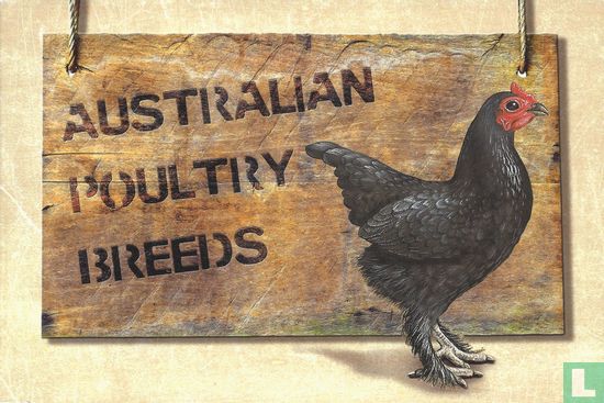 Australian Poultry Breeds - Image 1