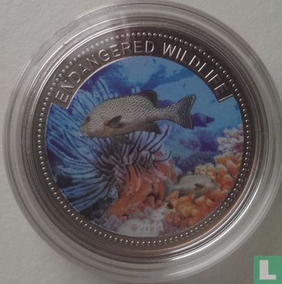 Palau 1 dollar 2011 (PROOF) "Copper rockfish" - Image 1