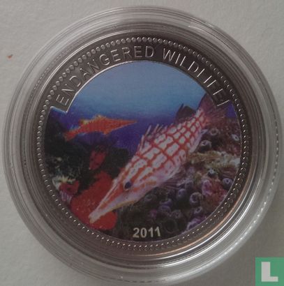 Palau 1 Dollar 2011 (PP) "Longnose hawkfish" - Bild 1