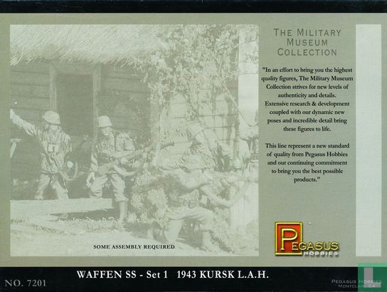 Waffen SS set 1 1943 Kursk L.A.H. - Afbeelding 2