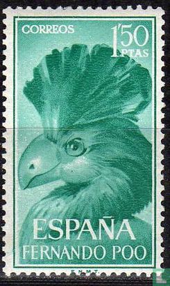 Oiseaux