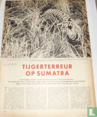 Tijgerterreur op Sumatra - Afbeelding 1