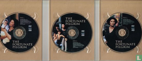 The Fortunate Pilgrim - Afbeelding 3