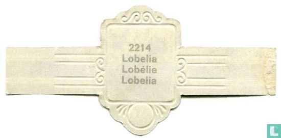 Lobelia - Afbeelding 2