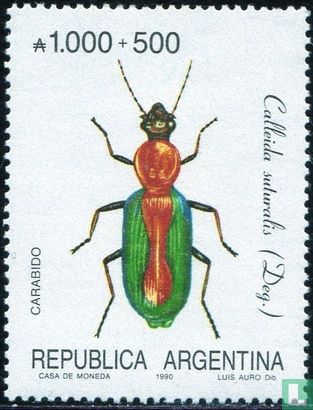 Käfer