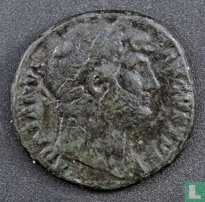 Empire romain, AE Comme, 117-138, Hadrien, Rome, 125-128 AD - Image 1