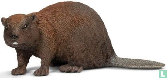 Bever