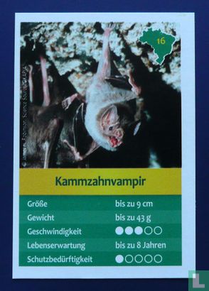 Kammzahnvampir - Afbeelding 1