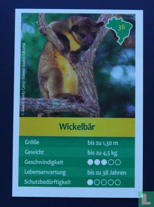 Wickelbär - Image 1