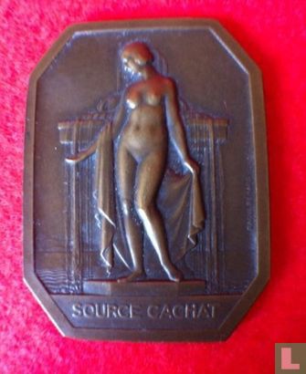 Plaquette Bronze SOURCE CACHAT - Image 1