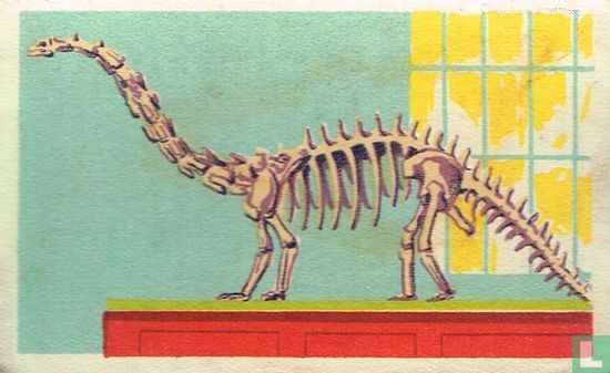 Het grootste fossiele beest - Afbeelding 1