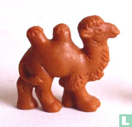 Camel - nieuwe vorm