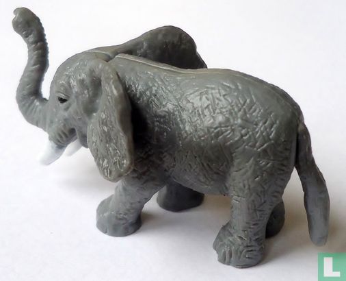 Elephant 'Andy' - Image 2