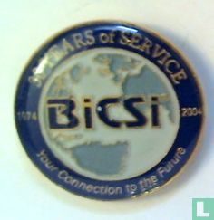 BICSI - 30 years of service