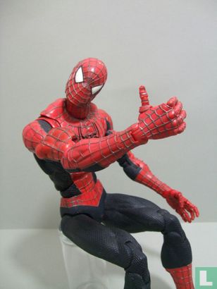 Spider-Man  - Bild 1