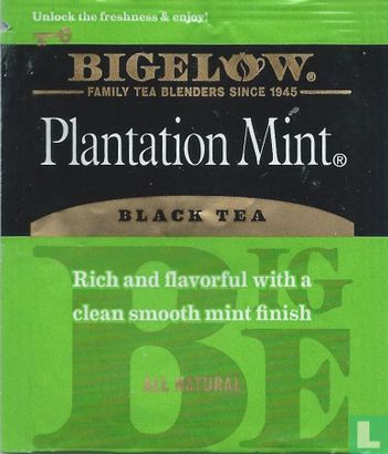 Plantation Mint [r]  - Afbeelding 1
