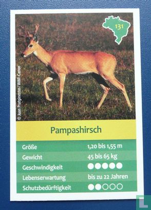 Pampashirsch - Image 1