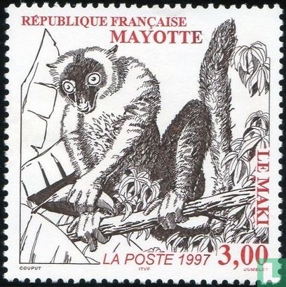 Mayotte Lemur