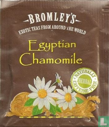 Egyptian Chamomile - Afbeelding 1