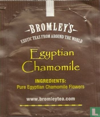 Egyptian Chamomile - Afbeelding 2