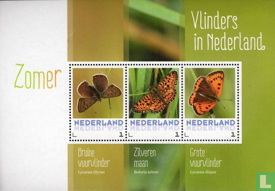 Papillons dans les Pays-Bas - Eté