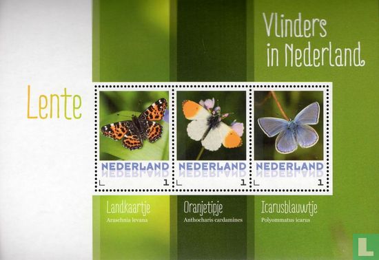 Papillons dans les Pays-Bas - Printemps