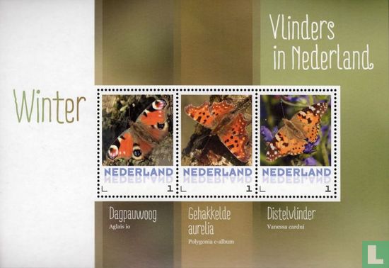 Butterflies in the Netherlands - Winter