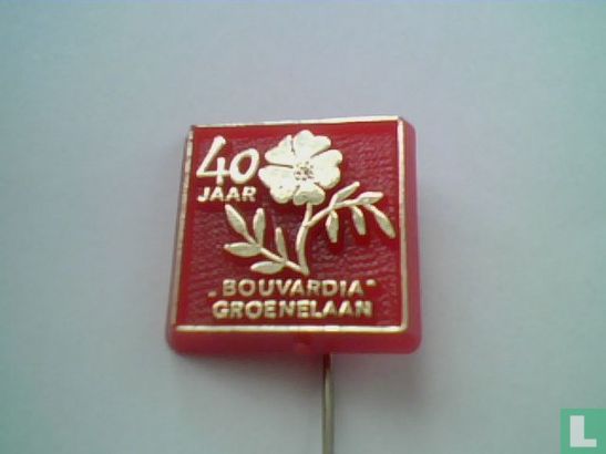 40 jaar "Bouvardia" Groenelaan [goud op rood]