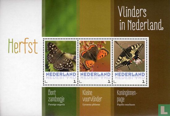 Papillons dans les Pays-Bas - Automne