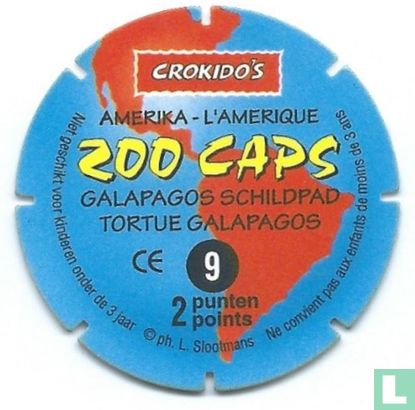 Galapagos Schildpad - Image 2