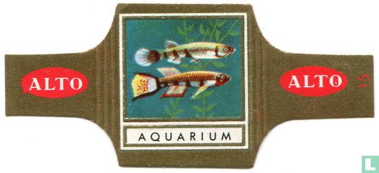[Aquarium 15] - Image 1