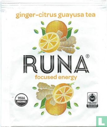 ginger-citrus guayusa tea - Bild 1