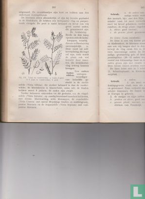 Plantkunde - Afbeelding 3