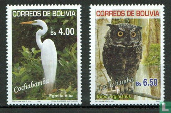 Vogels uit Cochabamba