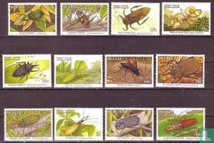 Insects