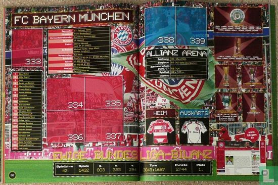 Bundesliga Fussball 2007-2008 - Bild 3