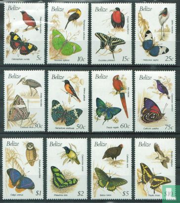 Papillons et oiseaux