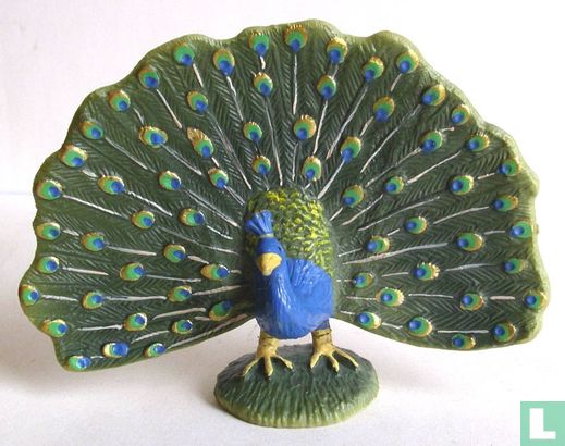 Peacock - Image 1