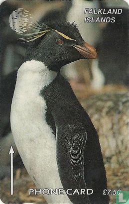 Rickhopper Penguin - Image 1