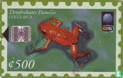 Dendrobates Pumilio [2] - Afbeelding 1