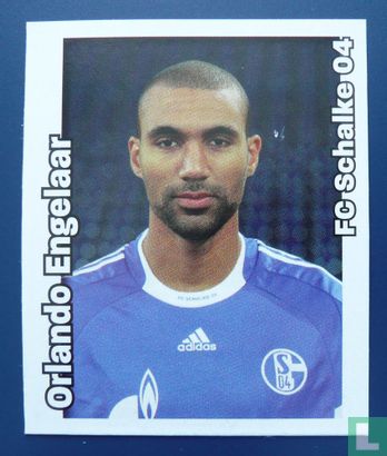 Orlando Engelaar-FC Schalke 04 - Image 1