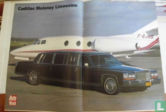 Cadillac Moloney Limousine - Bild 1