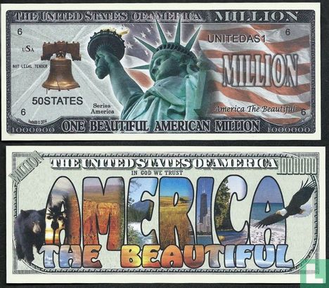 One Beuatifull America dollar bill