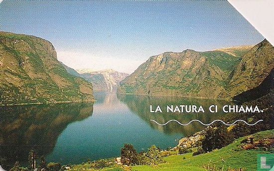 La natura ci chiama - I Fiordi Norvegesi - Afbeelding 1