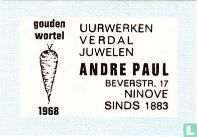 Andre Paul