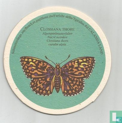 Vlinders: Clossiana Thore / calanda weizen brau - Image 1