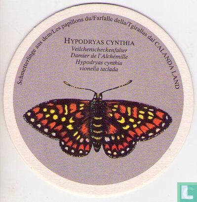 Vlinders: Hypodryas Cynthia / calanda weizen brau - Image 1