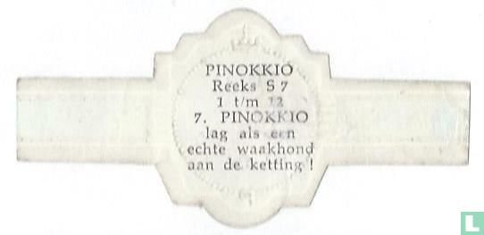 PINOKKIO lag als een echte waakhond aan de ketting ! - Afbeelding 2
